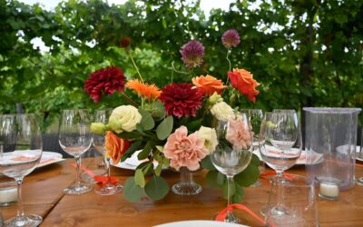 Matrimonio in vigna